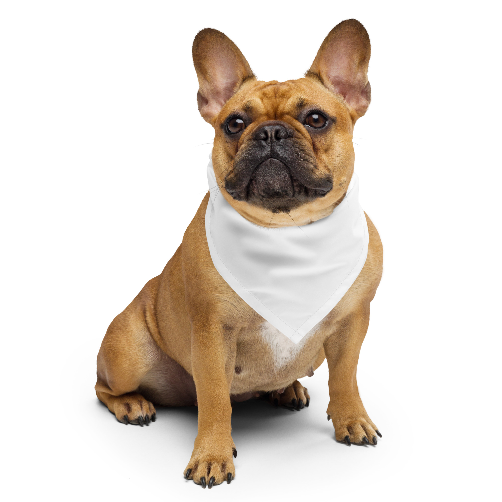 Fladge Rants Gary Head All-over Print Bandana